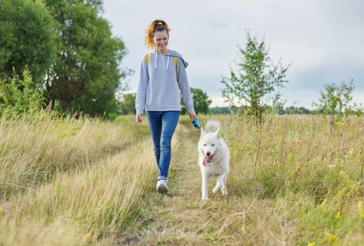 Cosa fondamentale da fare sempre prima di lasciare il cane a casa